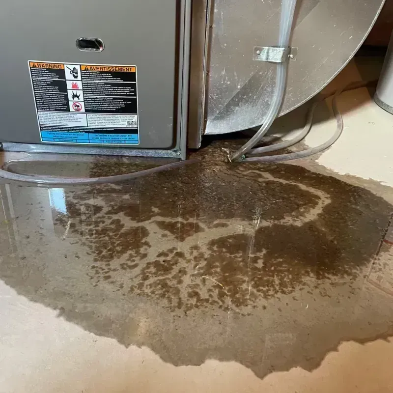 Appliance Leak Cleanup in Kenton County, KY